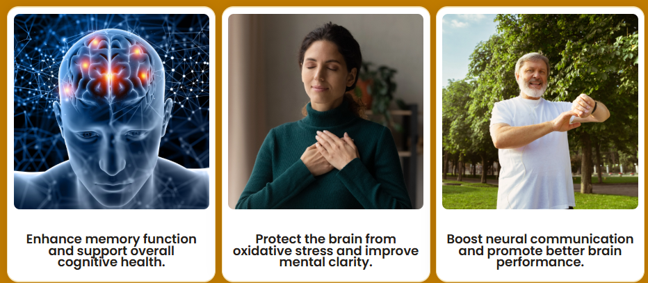 MemoHoney® cognitive benefits